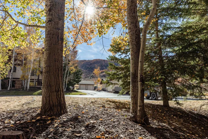 Mature tree-lined grounds featuring expansive lawn space and natural canopy coverage
