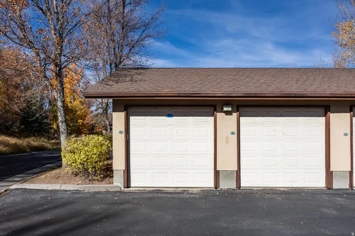 Two-car garage featuring white paneled doors, concrete driveway, and brown wood-finish trim detailing