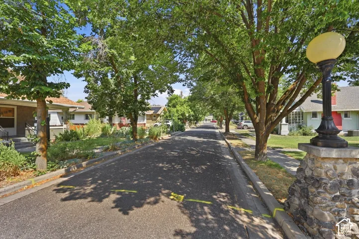 Tree-lined street with established sidewalks and a stone-clad streetlamp featuring a spherical light fixture