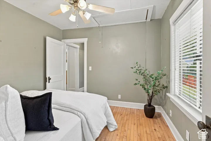 Serene bedroom showcasing wood-finish flooring, soft sage-green walls, and abundant natural light from shuttered windows