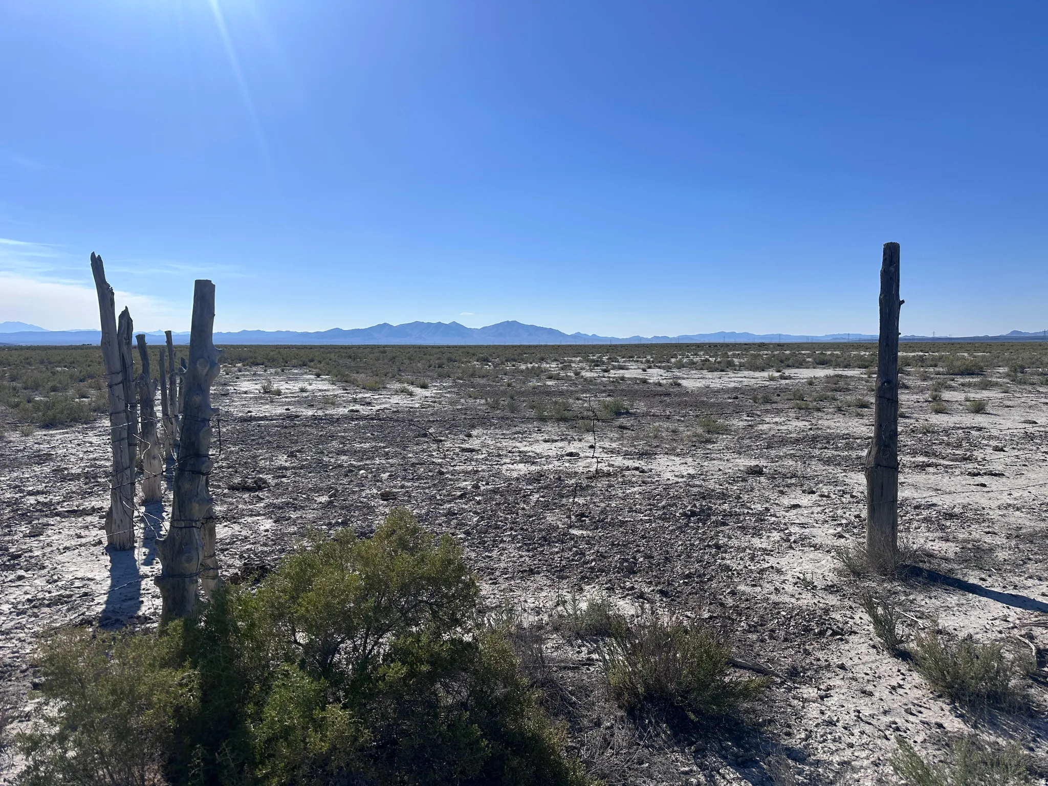 Expansive desert acreage featuring native saguaro cacti and natural desert landscaping with distant mountain vistas