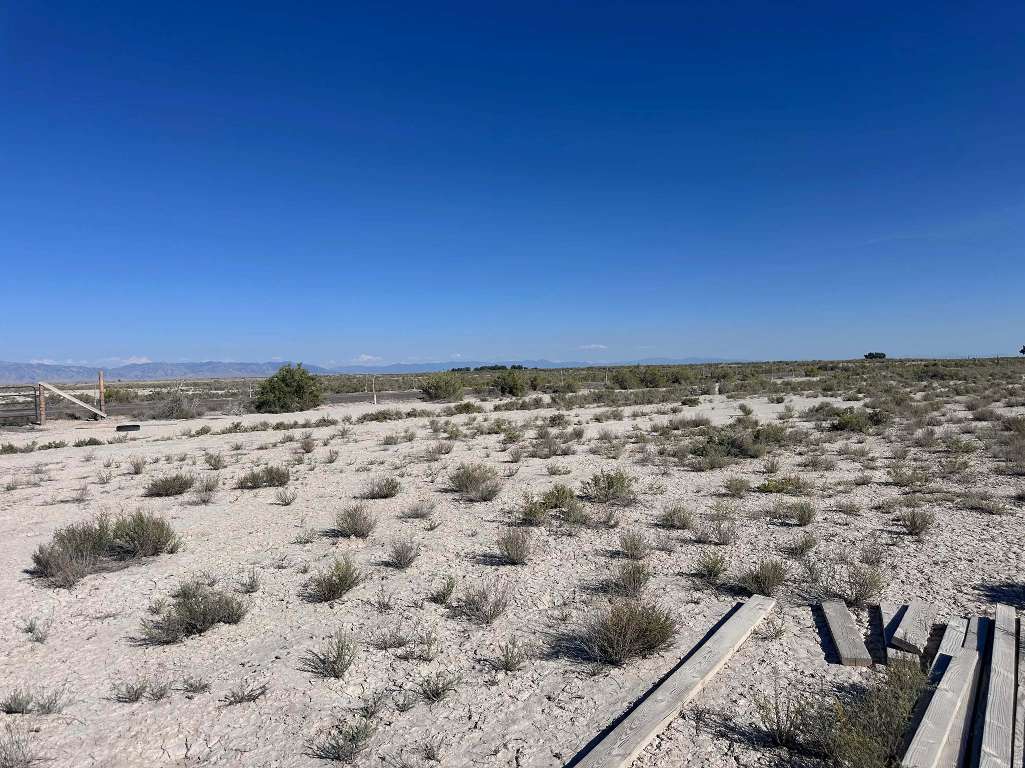 Expansive desert lot with natural vegetation and native shrub landscaping