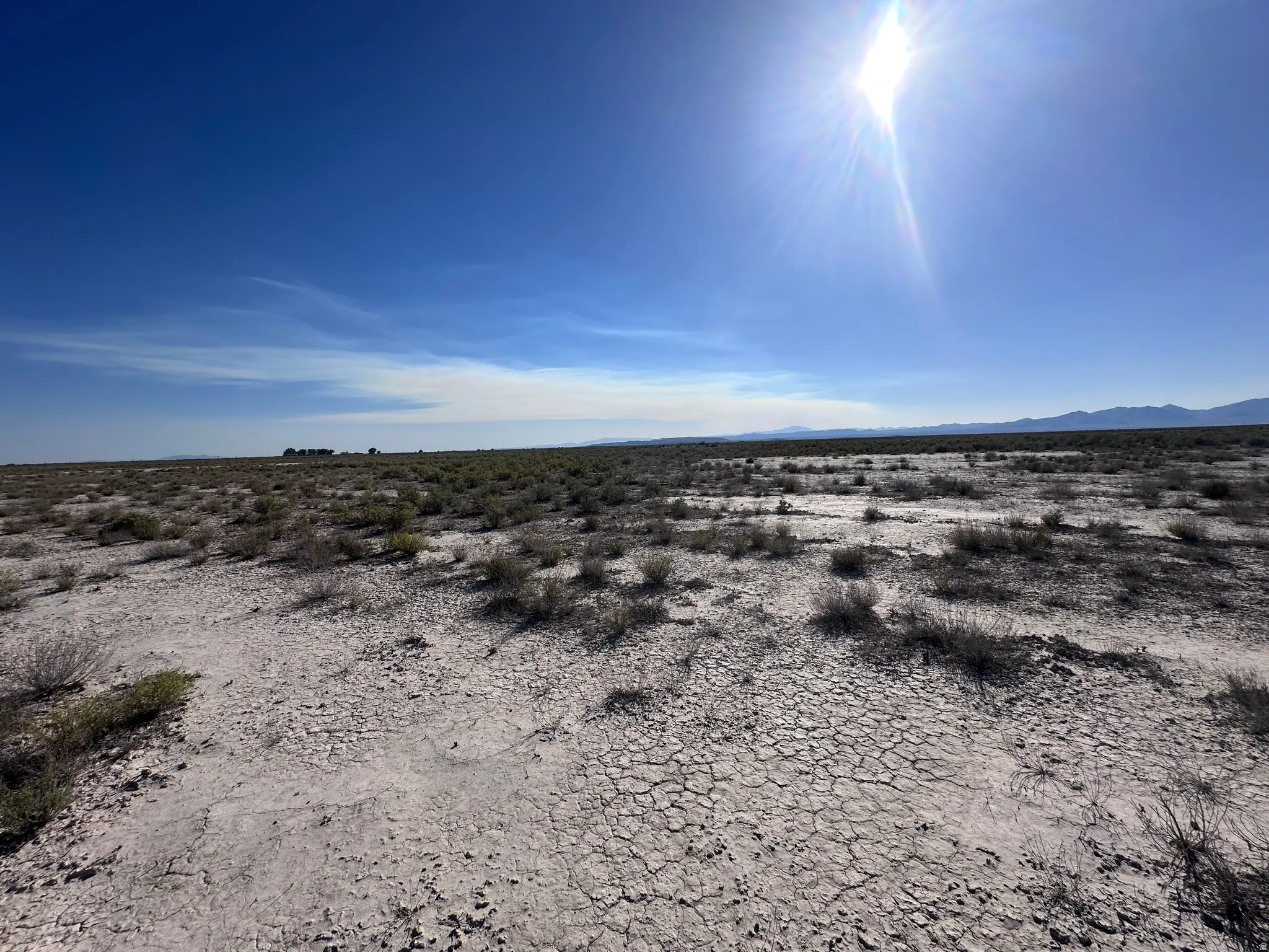 Expansive open land featuring a clear blue sky, distant mountains, and scattered desert vegetation