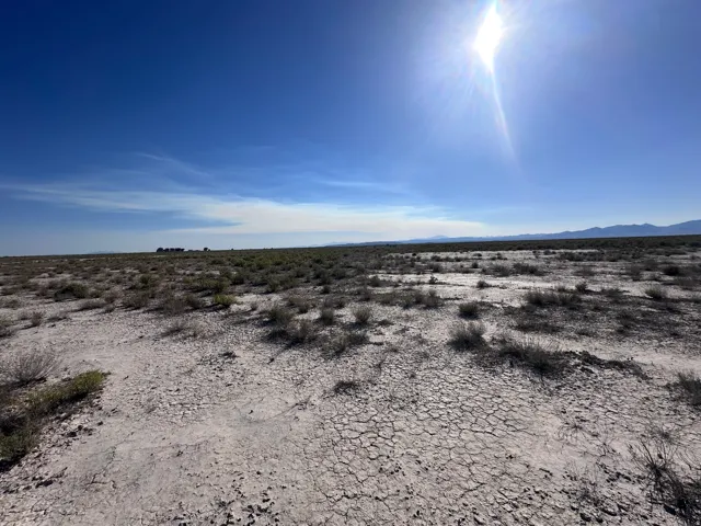 Expansive open land featuring a clear blue sky, distant mountains, and scattered desert vegetation