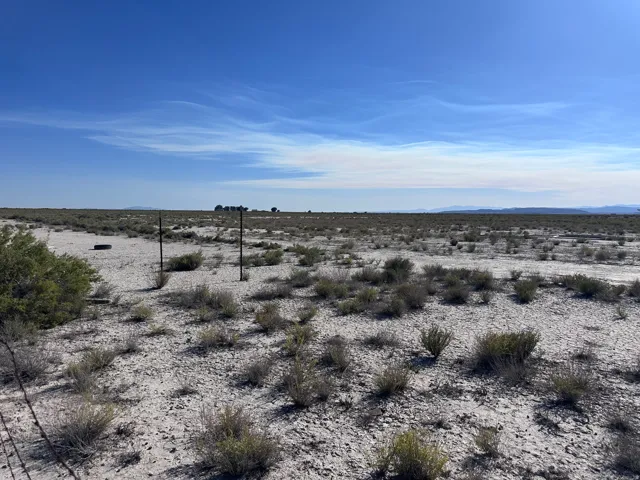 Expansive open land with a clear blue sky overhead