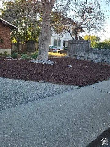 Sidewalk with an adjacent gravel path, leading to a landscaped area with mulch and a mature tree