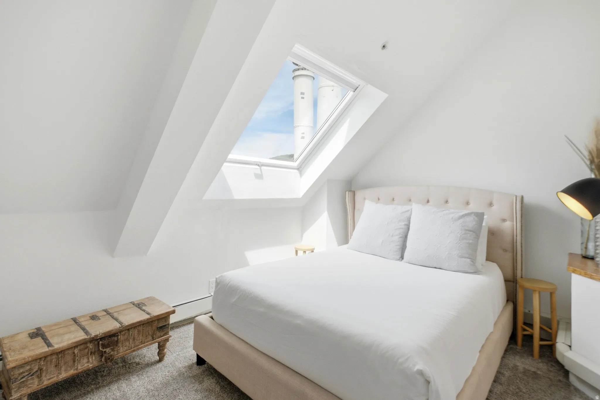 Angled ceiling with a built-in skylight, light-toned carpeting, and a wall-mounted radiator