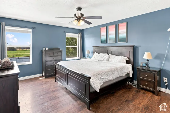 Primary bedroom with ceiling fan and LVP flooring