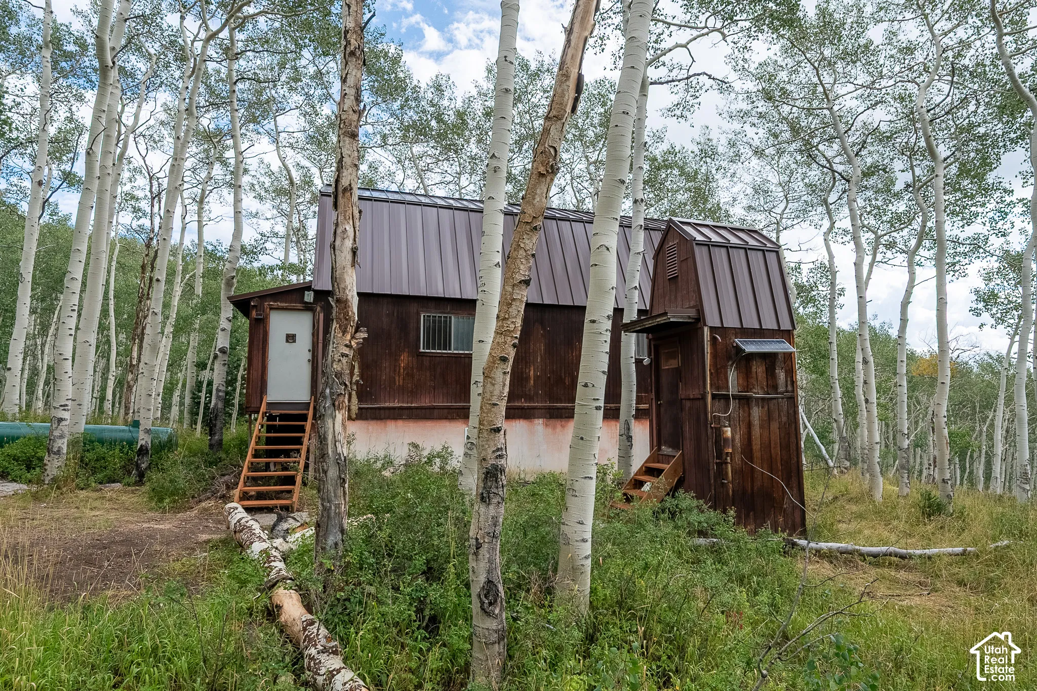 Corrugated metal roof, wood siding, and surrounding natural foliage