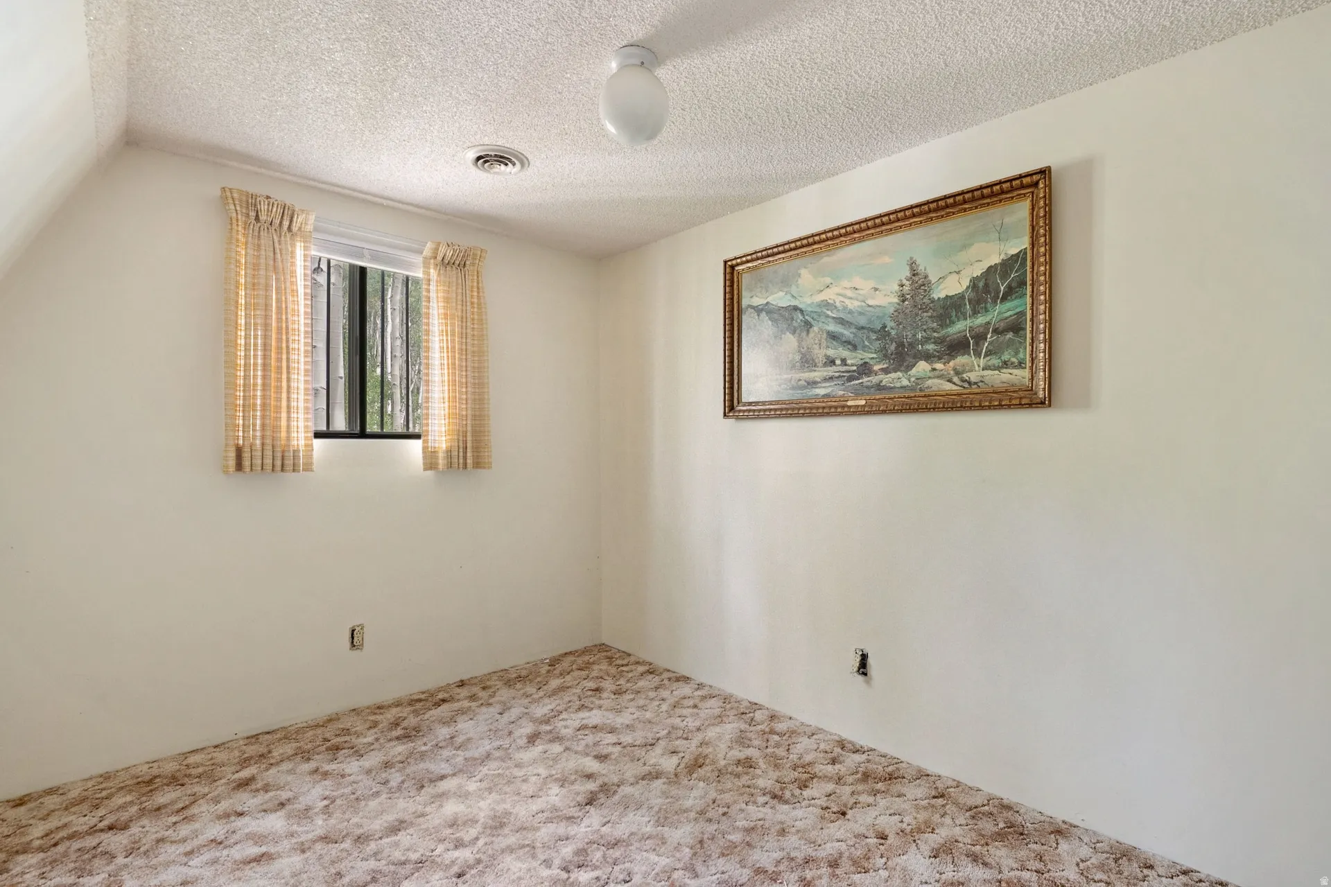 Room with wall-to-wall carpeting, painted walls, a single window, and a ceiling-mounted light fixture
