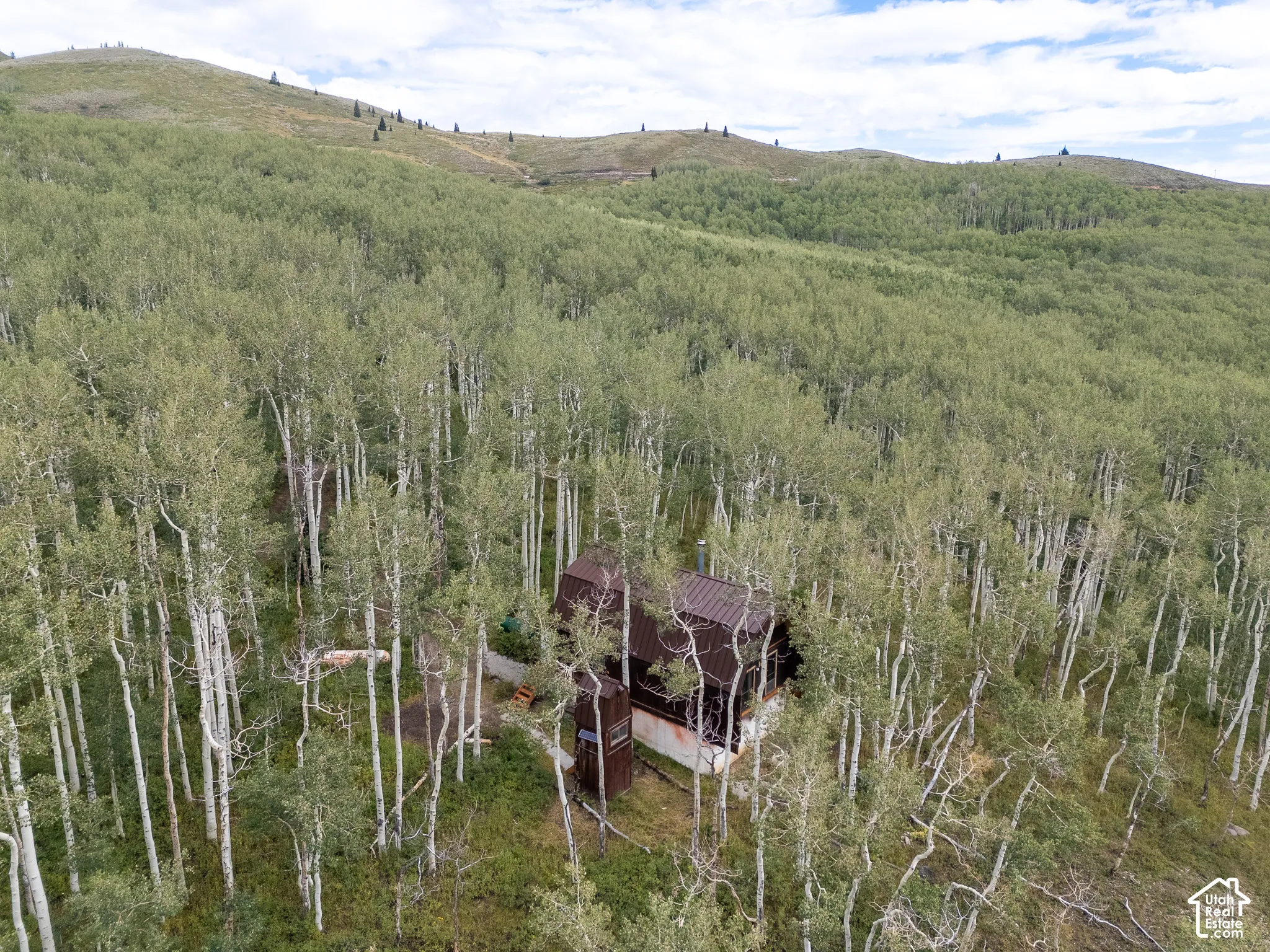Secluded property surrounded by a dense forest of mature trees