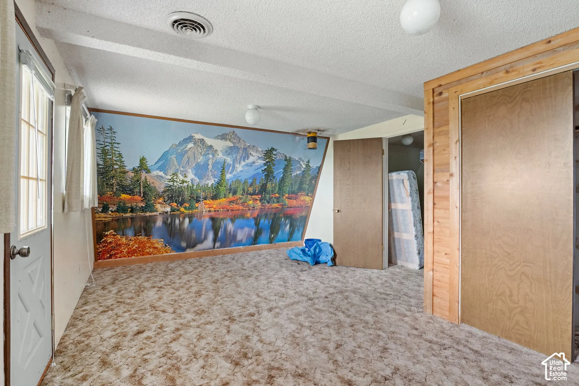Bedroom 2 Large wall mural depicting a mountainous lake scene, and large closet.
