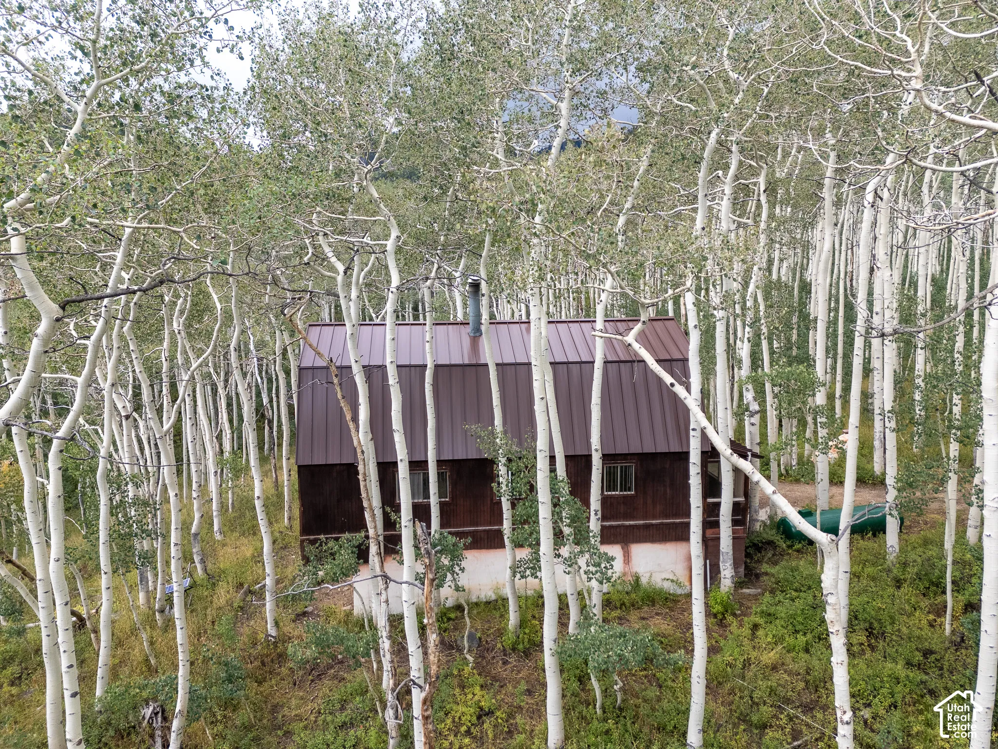 Wood-sided exterior with a metal roof surrounded by mature trees