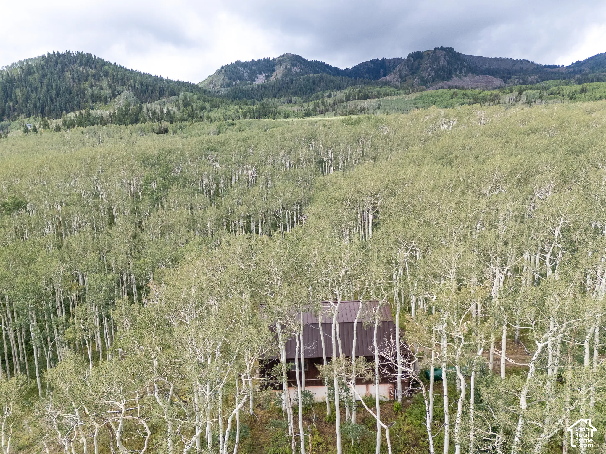Mountain home with a brown metal roof, surrounded by extensive natural foliage, and framed by distant peaks