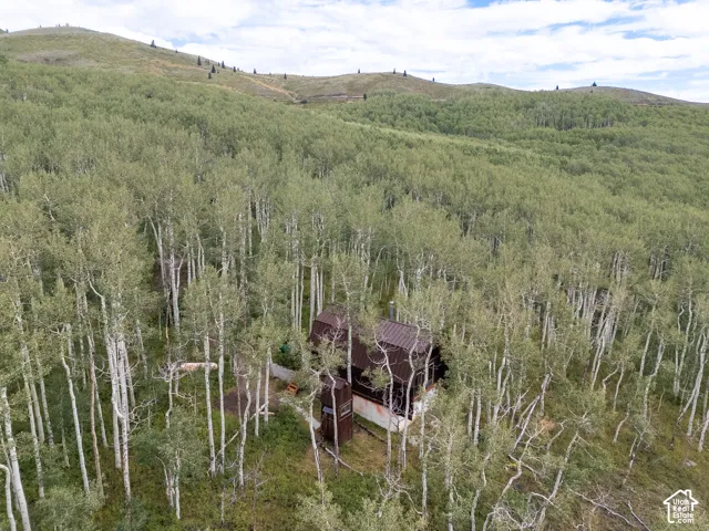 Secluded property surrounded by a dense forest of mature trees