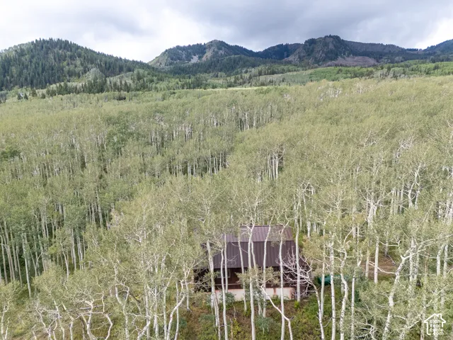 Mountain home with a brown metal roof, surrounded by extensive natural foliage, and framed by distant peaks