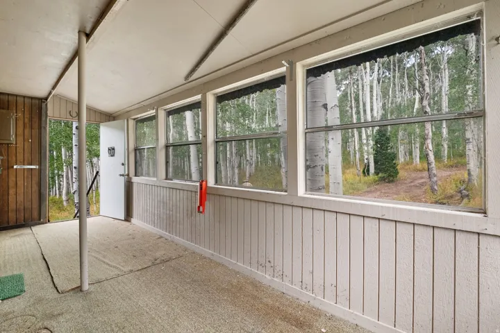 Bright north west room featuring multiple windows, wood paneling, and a natural woodland backdrop with mature trees
