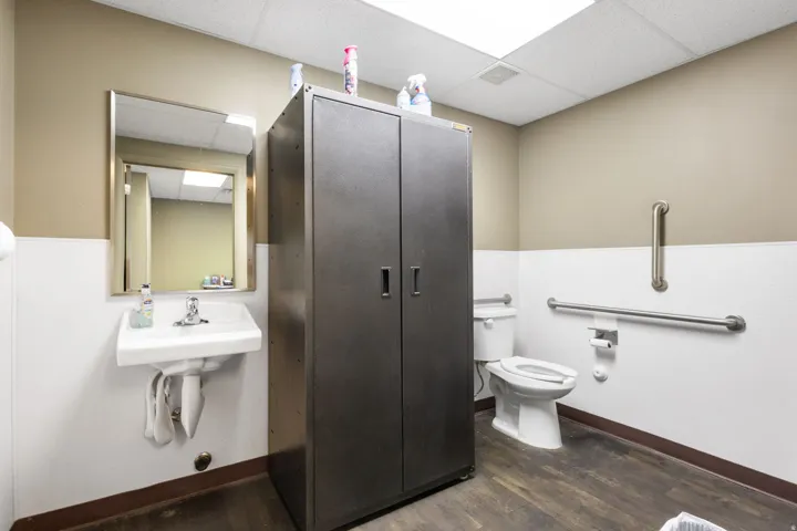 Restroom featuring wood-finish flooring, a wall-mounted sink with mirror, a commode, and polished chrome grab bars