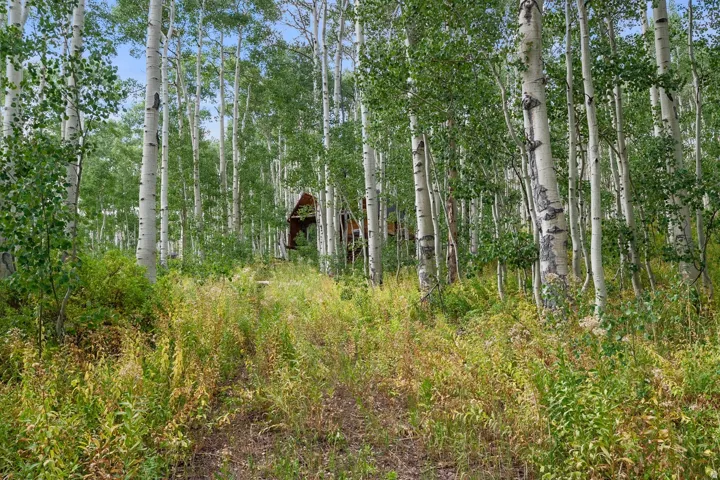 Wood-sided structure nestled among a dense grove of mature aspen trees, featuring an elevated position within the natural landscape and surrounded by varied ground vegetation