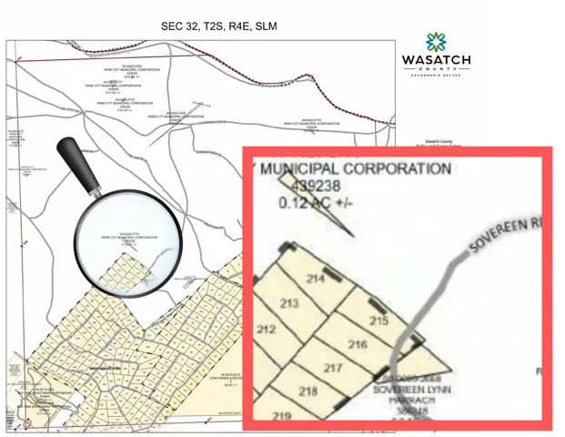 Plat Map. Illustrating lot divisions and property boundaries within the specified section