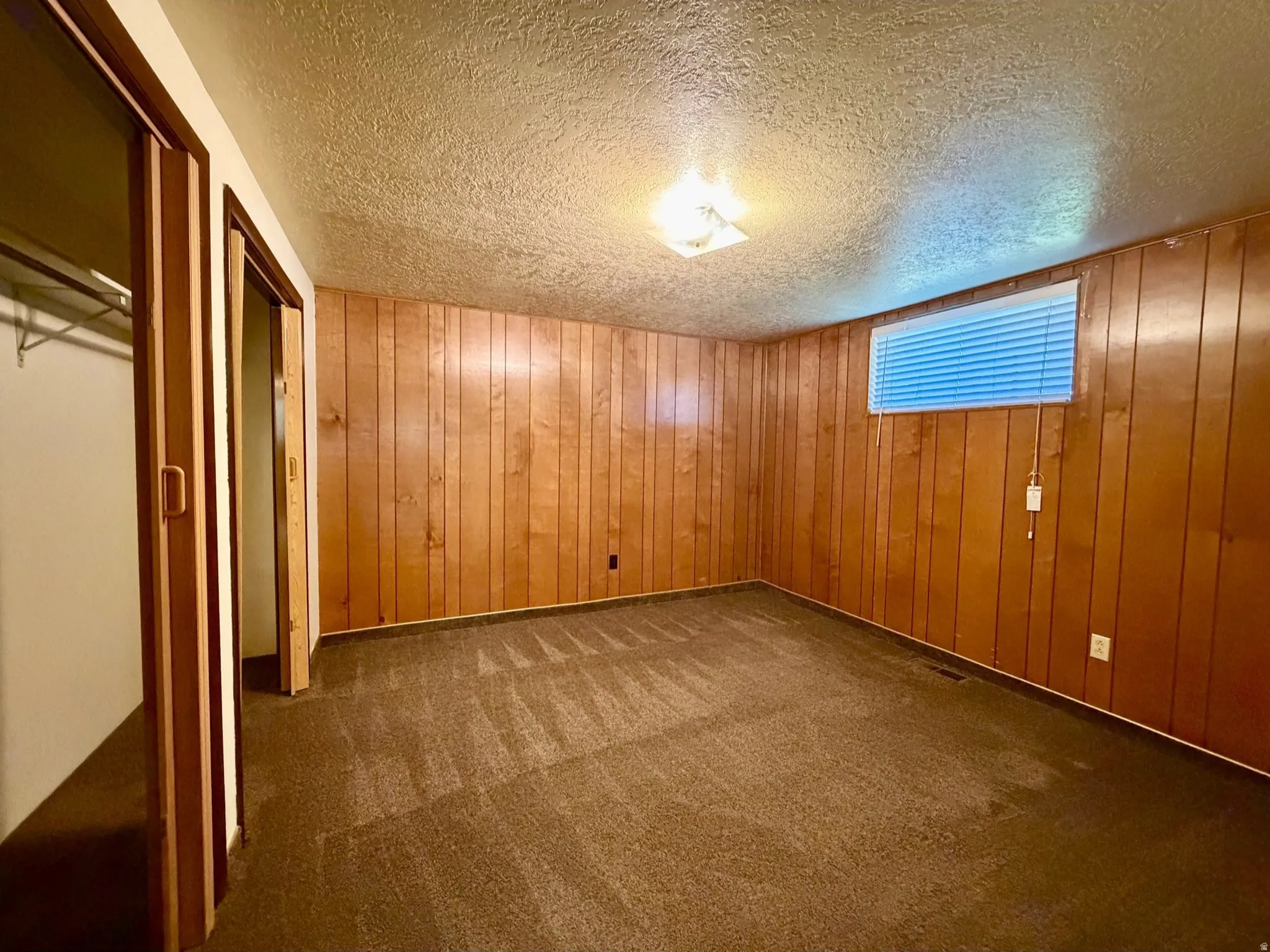 Wood-paneled bedroom with large closet space and carpet
