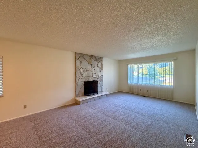 Huge Classic living room with stone fireplace and large bright window