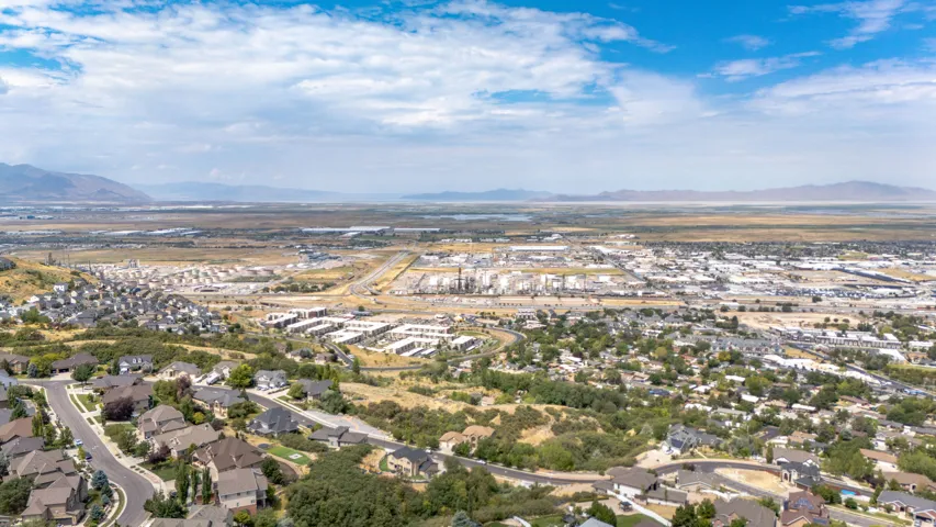 Expansive aerial perspective showcasing a residential community with varied architectural styles, mature trees, and paved streets