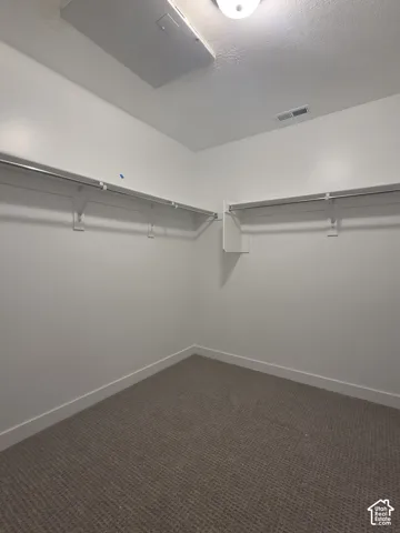 Storage area featuring wall-to-wall carpeting and dual-level metal hanging rods