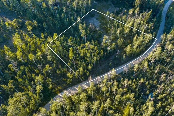 Expansive wooded property featuring dense coniferous forest throughout, with a paved access road bordering the perimeter