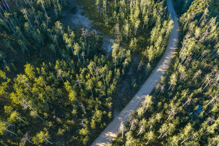 Expansive natural landscape featuring a winding unpaved road, abundant mature trees, and varying terrain
