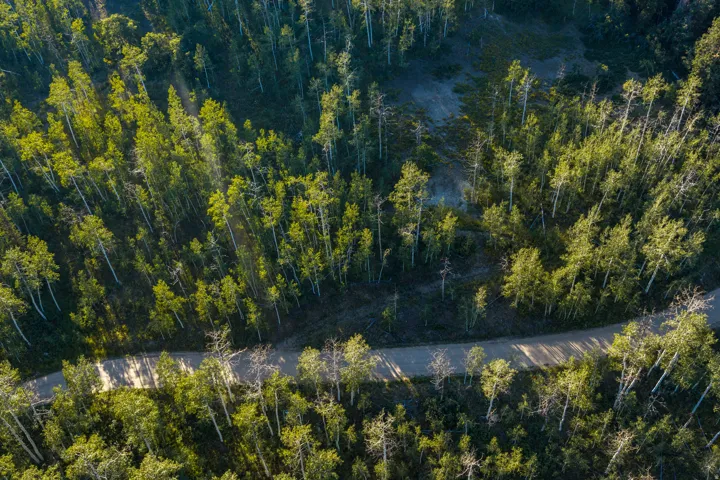 Aerial view showcasing mature coniferous and deciduous forest surrounding the property, with a winding paved road providing access through the densely wooded landscape