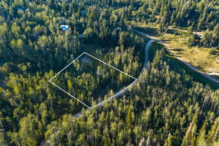 Expansive wooded parcel featuring dense coniferous forest throughout, with a clearly marked property boundary