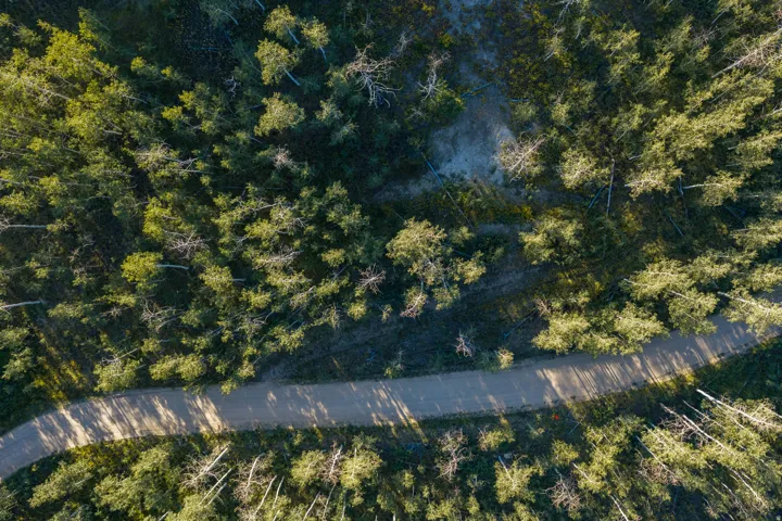 Winding unpaved road traversing a densely forested landscape
