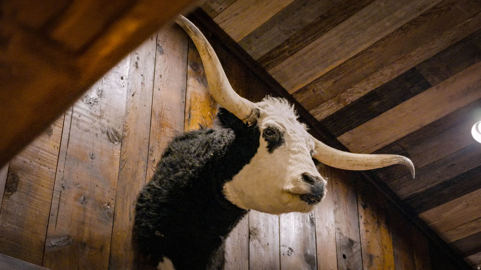 Reclaimed wood paneling and ceiling planks