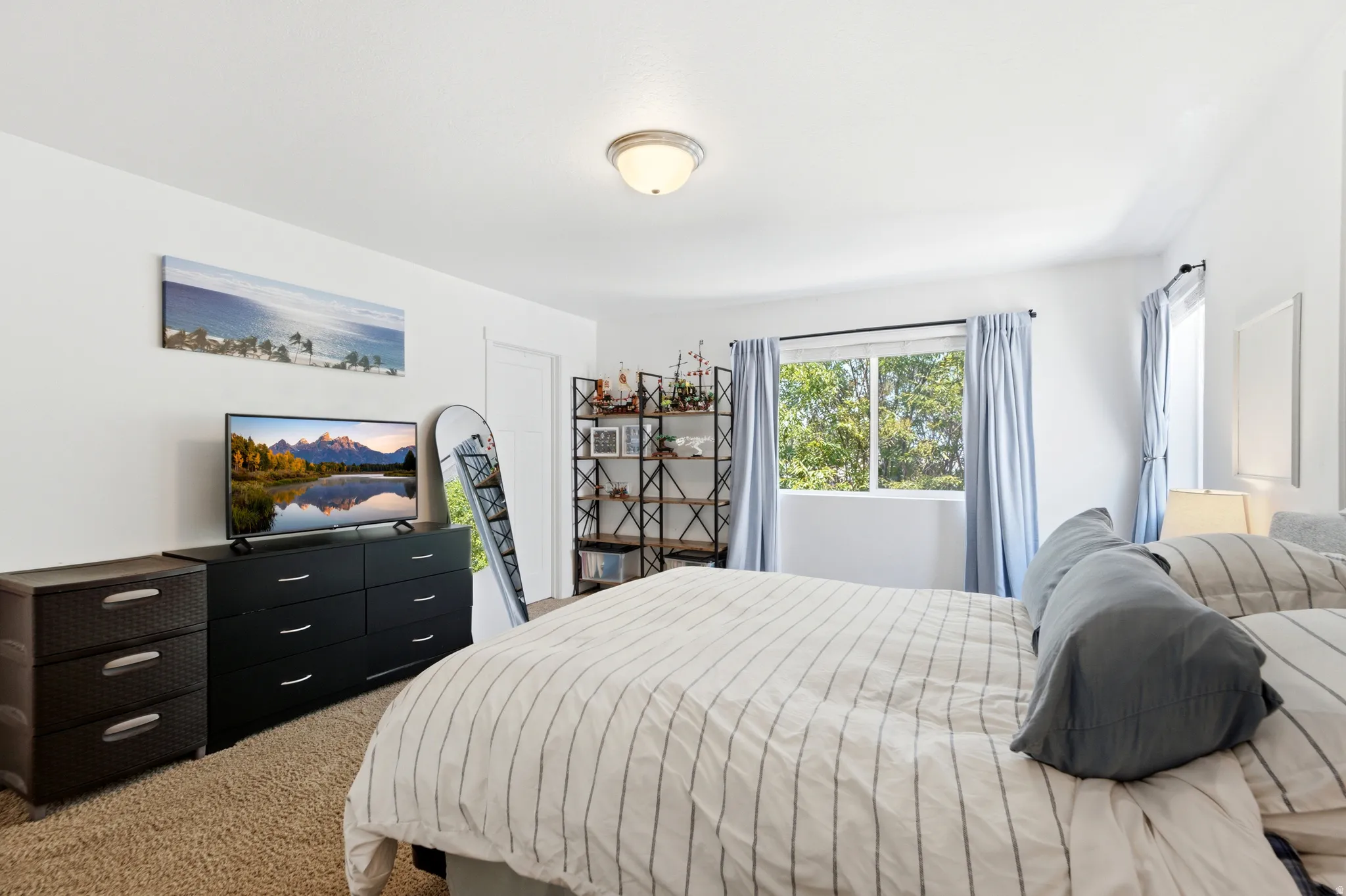 Spacious bedroom featuring abundant natural light from multiple windows, neutral pinstriped bedding, dark wood dresser with ample storage, carpeted flooring, and a large walk-in closet