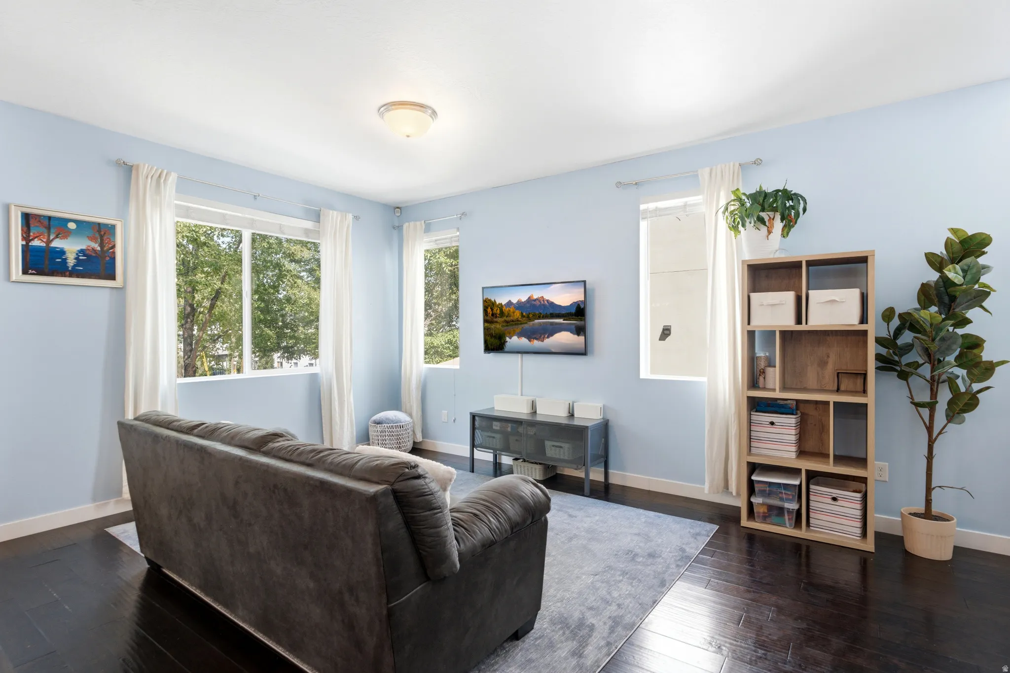 Bright, light-filled living room featuring soft blue walls, large multi-pane windows with white trim and sheer curtains, dark wood-finish flooring, and recessed ceiling lighting