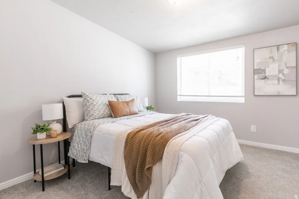 Bright room featuring light grey walls and carpet flooring
