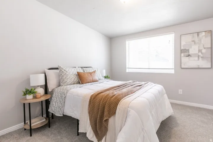 Bright room featuring light grey walls and carpet flooring