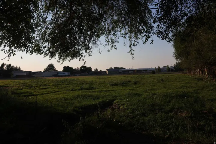 Expansive pastoral grounds featuring lush, level green acreage framed by mature tree canopy