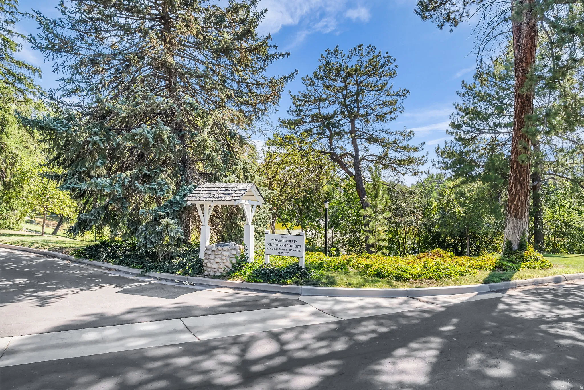 Paved asphalt driveway with mature trees and a decorative wishing well feature