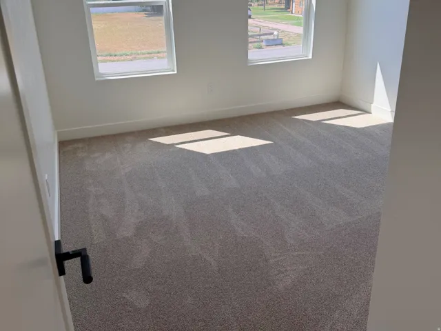 Carpeted room featuring two clear windows, white trim, and light-colored walls