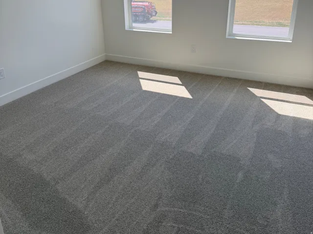 Bright interior space featuring two windows, neutral wall tones, and gray carpeting
