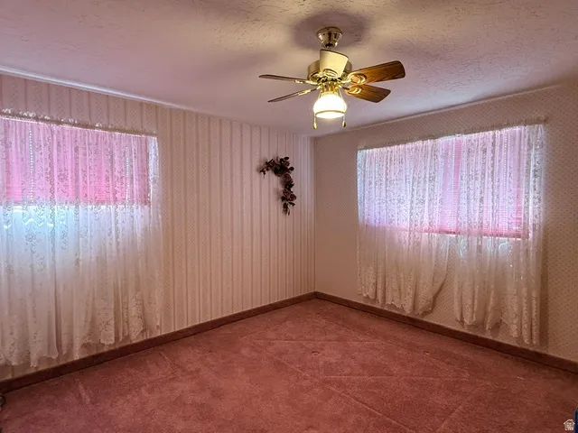 Spacious bedroom with dual large windows featuring sheer curtains, burgundy carpeting, ceiling fan with integrated lighting, and neutral wall finishes