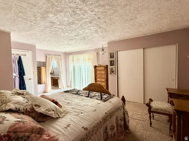 Carpeted room featuring light purple walls and white trim