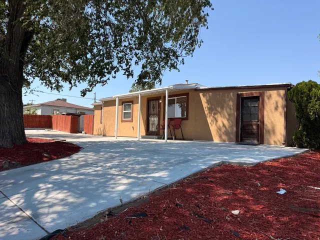 Newly paved concrete driveway with fresh landscaping and mature shade tree providing natural coverage