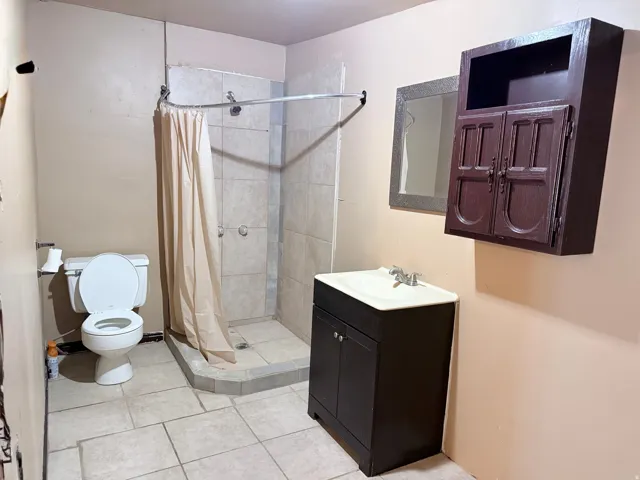 Full bathroom featuring a walk-in shower with tiled walls, a toilet, and a vanity with an integrated sink