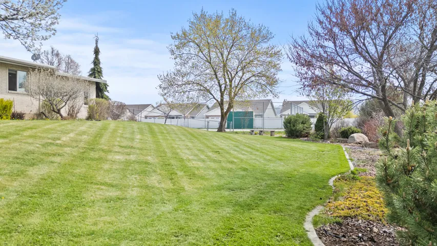 Expansive backyard featuring a lush green lawn, mature trees, and a decorative rock border