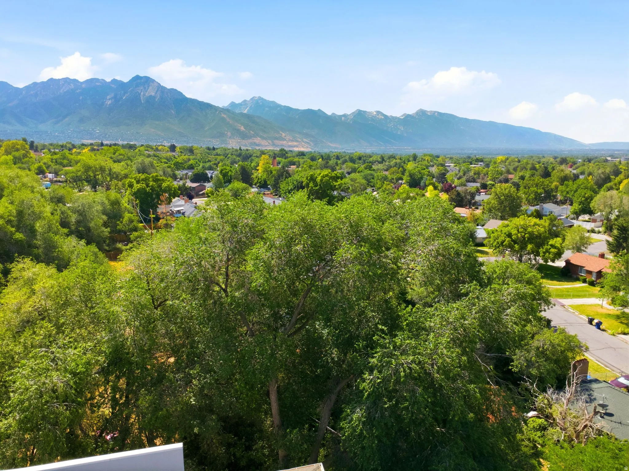 Expansive mountain range backdrop framing a verdant landscape of mature trees and residential rooftops