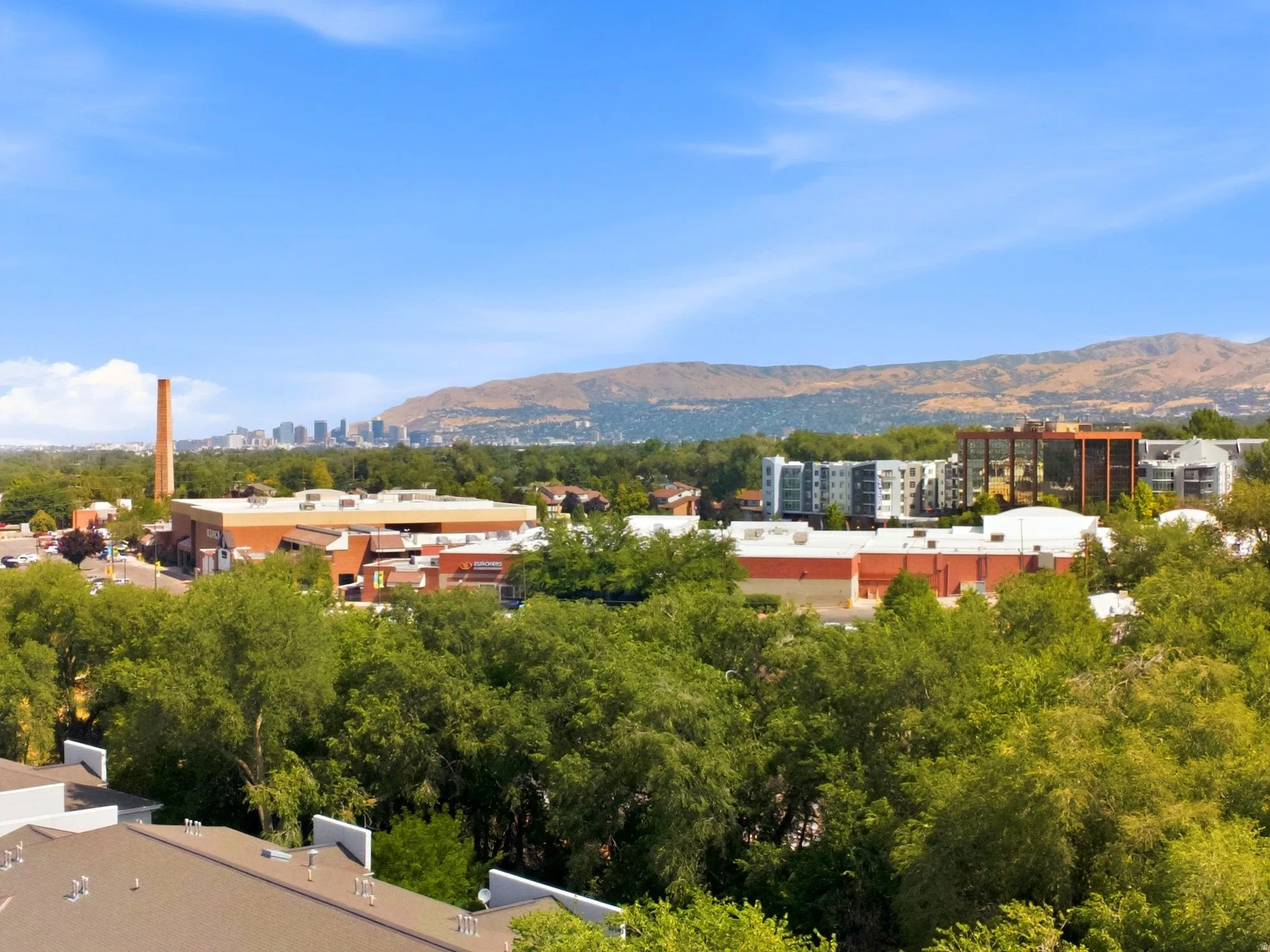 Elevated vantage point showcasing mature tree canopy throughout the property, with industrial architectural elements including a prominent brick chimney and mixed-use buildings