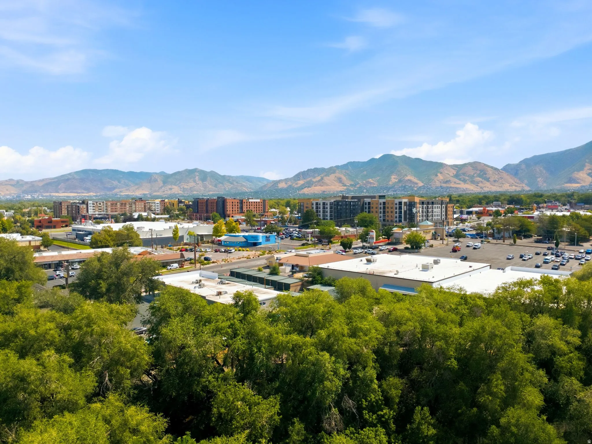 Aerial view showcasing mature landscaping with abundant tree canopy, commercial and residential mixed-use development, and mountain backdrop